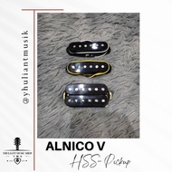Alnico V HSS Pickups Set For Stratocaster