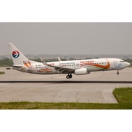 DIY Papercraft Chinese Aircraft Pattern Eastern Peacock Boeing 737-800