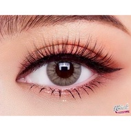 LENS MINI PONY (BROWN/GRAY) (14/14.5mm) BY DAISY.LENS