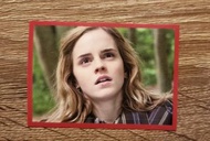 Harry Potter 哈利波特 電影貼紙：180（妙麗）