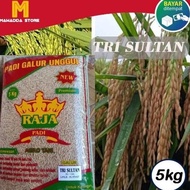 BIBIT PADI Trisultan Benih TRI SULTAN 05 32/13A 5kg