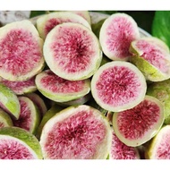 [SG Stock] Freeze Dried Fig 100g