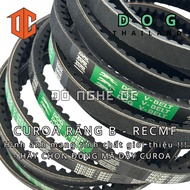 RECMF DOG tooth belt - Thailand B28 B74 B62 B61 B87 B77 B36 B41 B67 B87 B55 B83 B71 B39 B94 B65 B46 