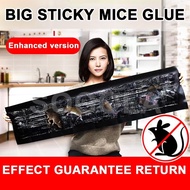 🔴COD🔴BUY 5 FREE 1 |1.2M LONG Perangkap Tikus Mouse Trap Sticky Rat Glue Trap Strong Mouse Catch Stic