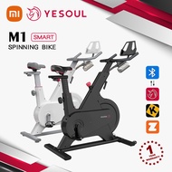 Xiaomi Yesoul Smart Exercise Bike M1 Spinning Bike Magnetic System Indoor Exercise Fitness Bike Magn