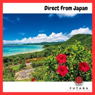 Yanoman 500-Piece Jigsaw Puzzle Made in Japan - Summer Island of Ishigaki with Sea and Hibiscus (38x