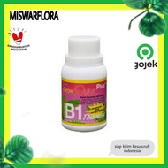Vitamin B1 plus grow quick fertilizer 100ml - stimulates anti-stress roots