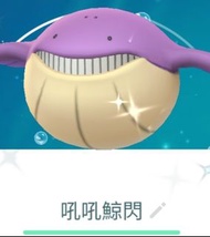 Pokemon go 吼吼鯨色違 閃光限定版