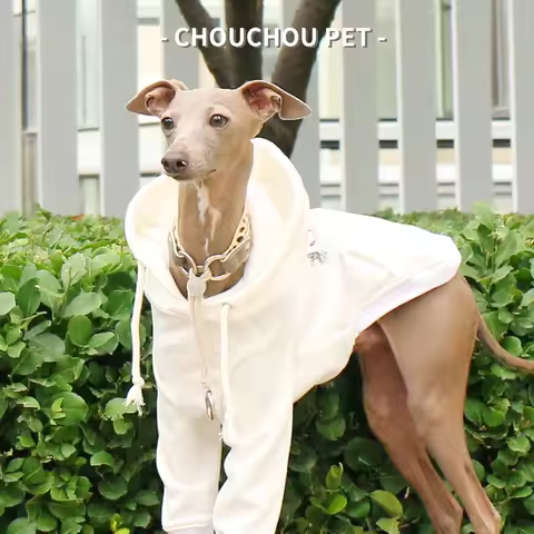 Iggy Greyhound Whippet Autumn and Winter Hoodie Fashion Pet Sweatshirt