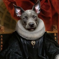 【客製化禮物】皇家寵物~寵物肖像照似油繪圓形抱枕 / 寵物