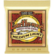 Ernie ball earthwood accoustic guitar string medium light(2003)