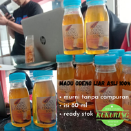 Madu odeng murni 100% madu asli tanpa campuran - madu odeng hutan kaya khasiat