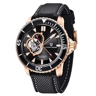 Pagani Design 1674 Luxury Brand Automatic Watch Waterproof Luminous Men Mechanical wristwatches Dive