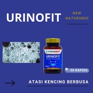 obat air kencing berbusa bau berbuih sakit urinofit herbal