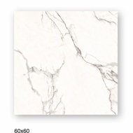 Granit Garuda Tile 60X60 Encantador Gvn C001W, 3
