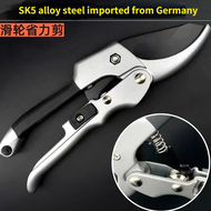 Sk5 Pruning Shears Gardening Tools Garden Scissors Tree Cutter Plant Scissor Rambutan Gunting Pokok 