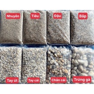 1 kg Natural Sea Gravel As An Aquarium Background