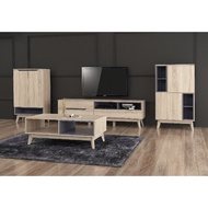 LIVING ROOM CONCEPT TV CONSOLE / COFFEE TABLE / STORAGE CABINET