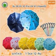 28-Inch Umbrella Lifted A Dozen 12 Cars