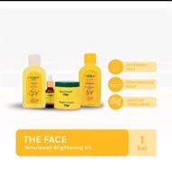 The Face Temulawak Cream/Collagen Cream