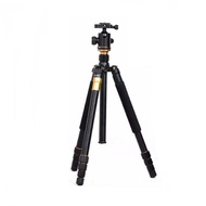 Tripod Monopod Beike Q999