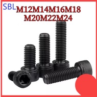 [SS-HX] Hexagon Socket Screw Grade 12.9 High-Strength Screw Cylindrical Head Bolt Cup Head Screw M12