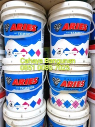 AVIAN ARIES AVITEX CAT TEMBOK PLAFON TRIPLEK WARNA PAIL PEL 20KG MURAH - DEKORASI CANTIK