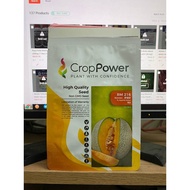 Benih Rock Melon ROMEO Crop Power Hibrid F1 RM216 (100 biji/500 biji)