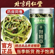 北京同仁堂朕皇肾精草黄金草男士常备枸杞养生茶滋补泡水喝中药材Beijing Tongrentang I Huang Shen Jing Cao Huang Jin Cao Men  meimei888