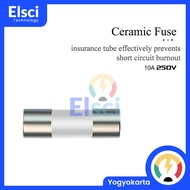 Zoyi Multimeter Fuse 10A 250V 3.5x10mm