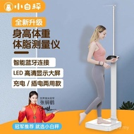 Plug-In Dual-Use Electronic Scale Weight Scale Height Height Scale Rechargeable Weight Body Fat Scal