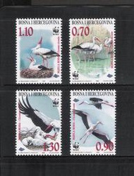出清價 ~ WWF-234 波士尼亞 1998年 白鸛郵票 - (鳥類專題)