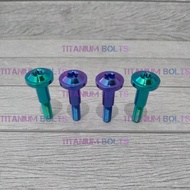 Titanium Bolts GR5 Handle Bolts Original