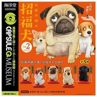 全新 日版 海洋堂 Kaiyodo Capsule Q Museum 動物 狗 Dog 佐藤邦雄 招福犬 Vol 2 全5款 拉布拉多犬 芝娃娃 巴哥 Pug 貴婦狗 Poodle 小獵犬