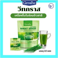 WHEAT GRASS GIFFARINE Wheatgrass | Supplement: Young Intestinal Detox Anemia