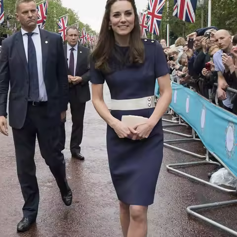 Princess Kate Colorblock Dress, O-Neck Sheath, OL Work Dresses, Fashion