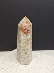 巴西白幽靈柱 千層幽靈 千層白幽靈