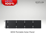 EcoFlow 60W Solar Panel