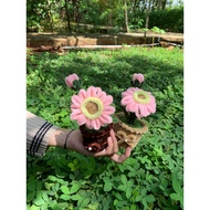 FUZZY WIRE FLOWER PIPE CLEANER