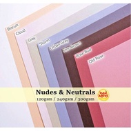 Nudes and Neutrals Specialty Paper 120gsm/ 240gsm / 300gsm A4 Size