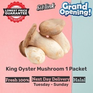Fresh King Oyster Mushroom Harga Pasar Borong 1 Packet SAYURAN SEGAR Vegetables Murah Grocery Segar 