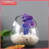[pugwsl] Slant Cut Glass Vase Mini Transparent Terrarium Bowl Modern Decorative Candy Bowl Jar for H