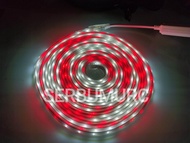 Paket Strip Merah Putih Warnawarni LED Selang Lengkap Adaptor Outdoor AC 220V Lampu Hias Agustusan