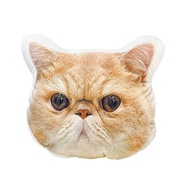 Customized Portrait Pillow Alien Shape No White Border Ugly Cat Puppy Doll To Picture Customized Rea