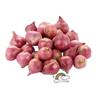 泰国 小葱 Thai Shallots /Bawang Merah Siam
