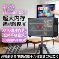 Set audio KTV rumah aiwa, speaker Bluetooth mudah alih untuk tarian kumpulan di luar dengan skrin pa