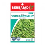BBS022 SERBAJADI WATER CONVOLVULUS SEED -KANGKONG