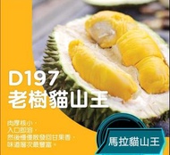 馬來西亞貓山王