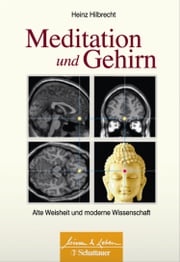Meditation und Gehirn Heinz Hilbrecht