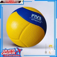 Volleyball V300W
